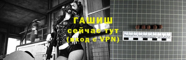 крисы Алзамай